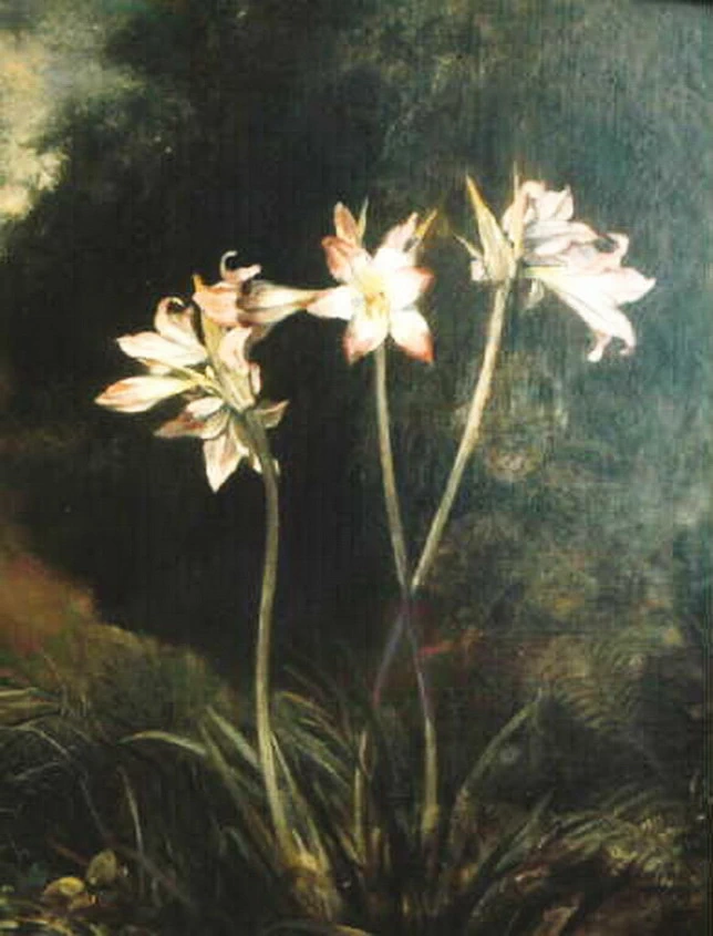 Lillium nel bosco